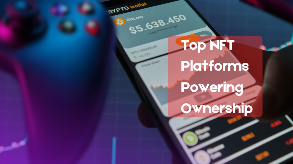 Infographic of top NFT ecosystems in 2025 revolutionizing digital ownership across identity, gaming, and art.